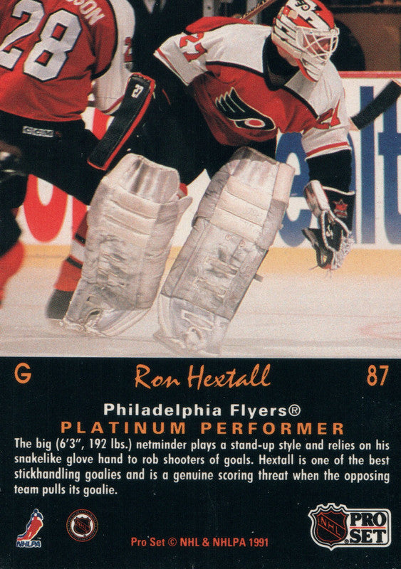 NHL Pro Set 1990 Hockey Trading Card #216 Ron Hextall #27 Philadelphia  Flyers on eBid United States