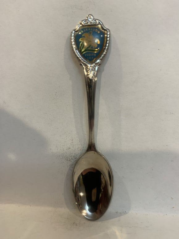 Saskatoon Saskatchewan Prairie Lily Souvenir Spoon