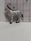 Zebra Foal Baby  Toy Animal