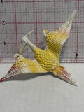 Pterodactyl Dinosaur Bird  Toy Dinosaur