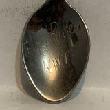 Hay River Northwest Territories Caribou Collectable Souvenir Spoon BO