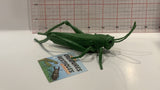 Green Grasshopper Toy Animal