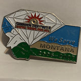 Lions Club Campaign Sight First II Montana 2006 2007 Lions Vision For All Lapel Hat Pin