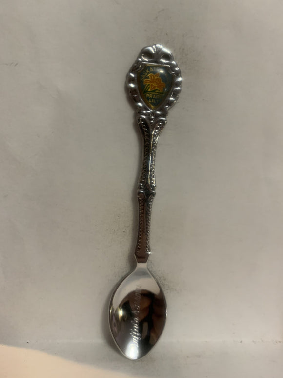 Buffalo Narrows Saskatchewan Prairie Lily Souvenir Spoon