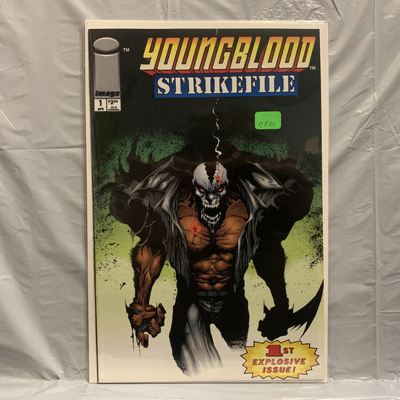 #1  Youngblood Strikefile Image Comics BA 8287